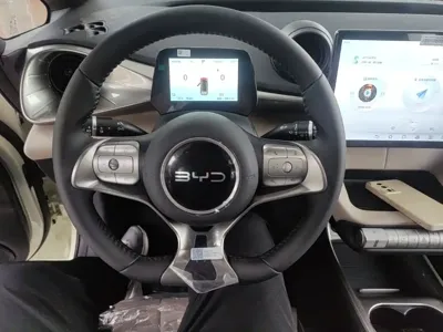 BYD Dolphin 2026, 300 км, за 11184.98 USD - фото 11