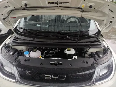 BYD Dolphin 2026, 300 км, за 11184.98 USD - фото 20