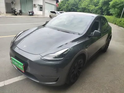 Tesla Model Y · 2021 год