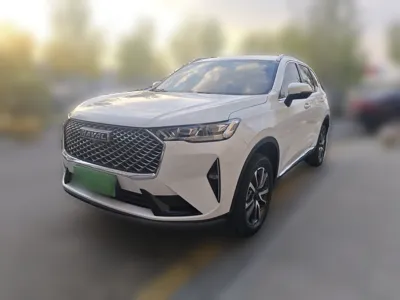 Haval H6 · 2021 год
