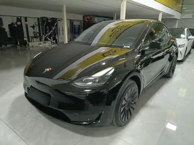Tesla Model Y · 2022 год