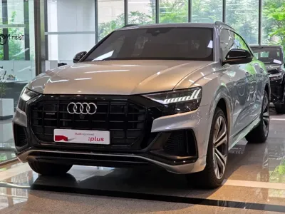 Audi Q8 · 2023 год