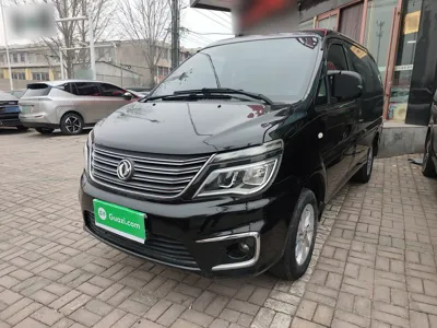 Forthing Lingzhi · 2017 год