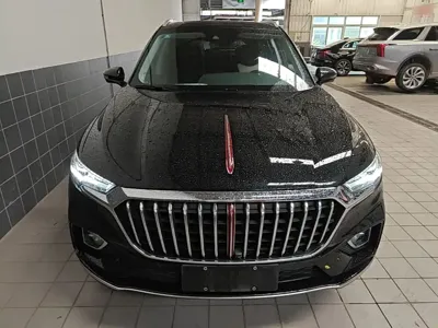Hongqi Hongqi HS5 2020, 74600 км, за 11996.56 USD