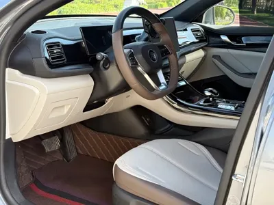 BYD Qin Plus 2025, 37000 км, за 8799.12 USD - фото 6