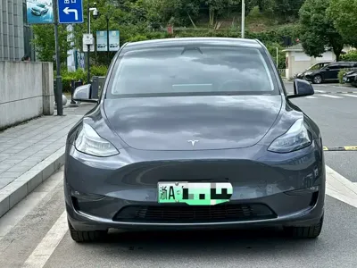 Tesla Model Y · 2023 год