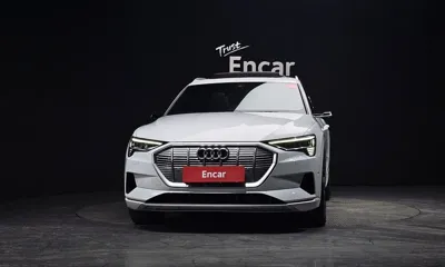 Audi e-tron 2020, 124232 км, за 26759.16 USD