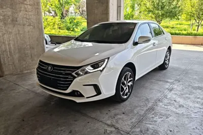BYD Qin New Energy · 2018 год