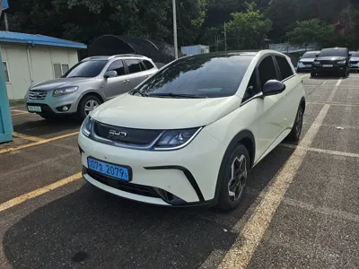 BYD Dolphin · 2026 год