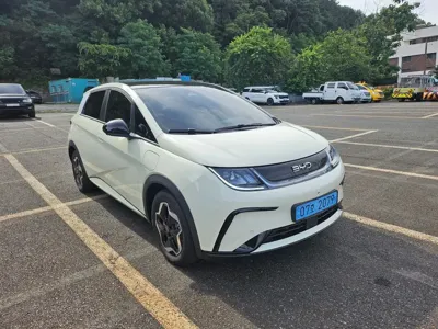 BYD Dolphin 2026, 20 км, за 5850.61 USD
