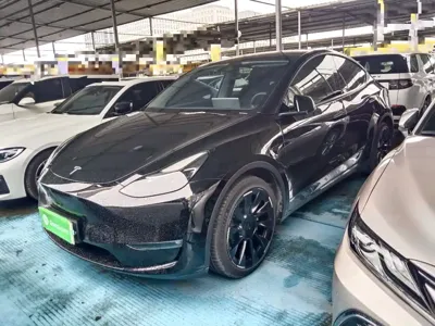 Tesla Model Y 2021, 54700 км, за 20732.46 USD