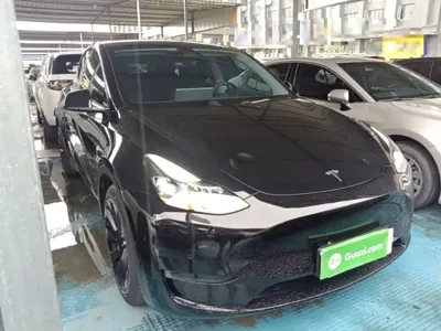 Tesla Model Y 2021, 54700 км, за 20732.46 USD