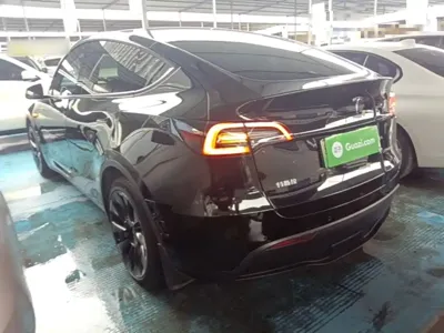 Tesla Model Y 2021, 54700 км, за 20732.46 USD