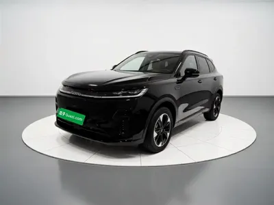 Haval Xiaolong Max · 2025 год