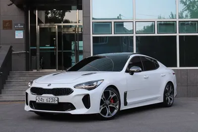 Kia Stinger · 2019 год