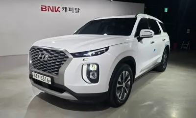 Hyundai Palisade · 2019 год