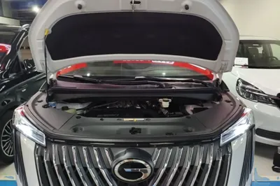 GAC Trumpchi M8 2024, 45500 км, за 24880 USD - фото 31