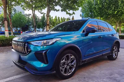 Haval LHERY · 2022 год