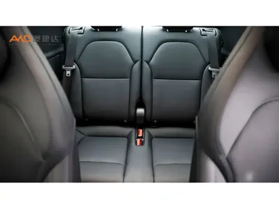 Tesla Model Y L