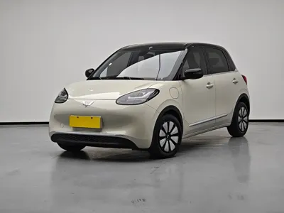 Wuling Bingo · 2024 год