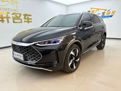 BYD Tang New Energy · 2024 год
