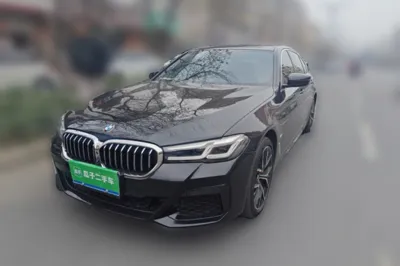 BMW 5 Series · 2022 год