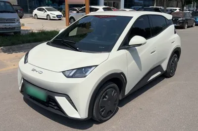 BYD Seagull · 2023 год