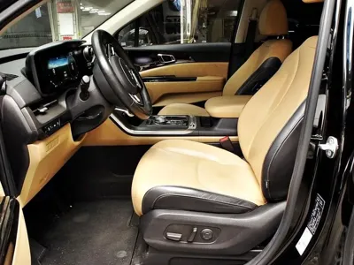 Kia Canival 2022, 77586 км, за 18373.38 USD
