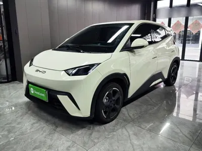 BYD Seagull 2023, 22300 км, за 6661.38 USD