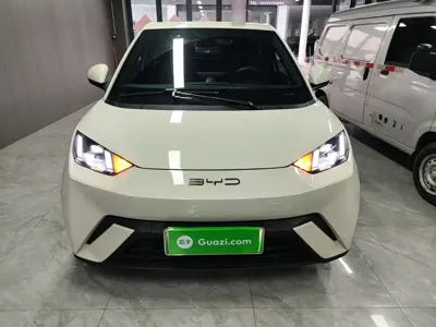 BYD Seagull 2023, 22300 км, за 6661.38 USD