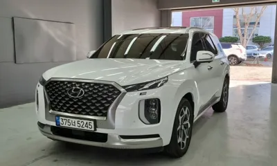 Hyundai Palisade · 2022 год