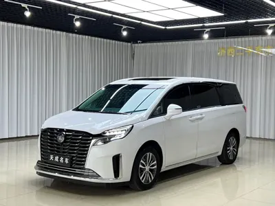 Buick GL8 · 2024 год