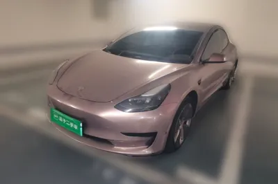 Tesla Model 3 · 2021 год