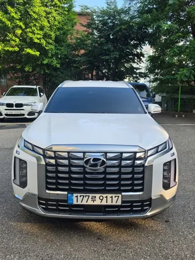 Hyundai Palisade · 2024 год