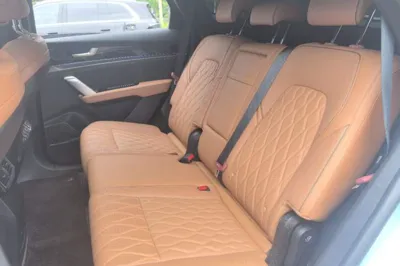 BYD Tang New Energy 2023, 71500 км, за 16527 USD - фото 38