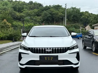 Geely Binrui · 2025 год