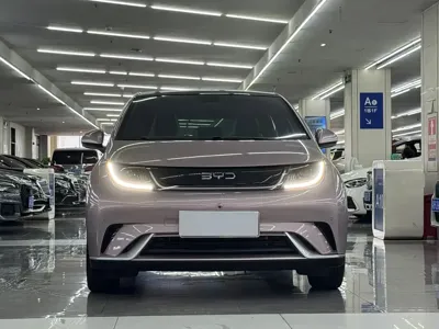 BYD Dolphin 2024, 8000 км, за 10889.86 USD