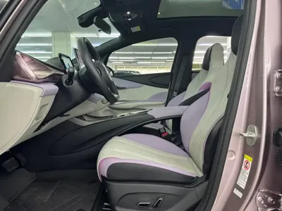 BYD Dolphin 2024, 8000 км, за 10889.86 USD