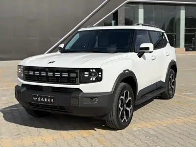 Shanhai Shanhai T1 2025, 13000 км, за 19422.81 USD