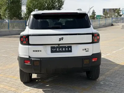 Shanhai Shanhai T1 2025, 13000 км, за 19422.81 USD