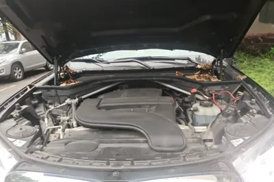 BMW X5 2018, 134100 км, за 22980 USD - фото 21