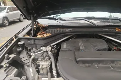 BMW X5 2018, 134100 км, за 22980 USD - фото 23