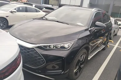 BYD Tang New Energy · 2024 год