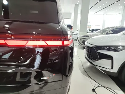 Denza N9