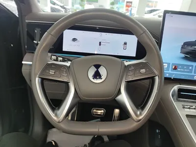 Denza N9