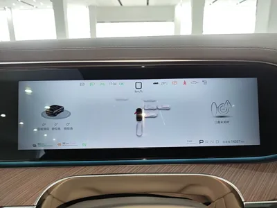 Denza N9