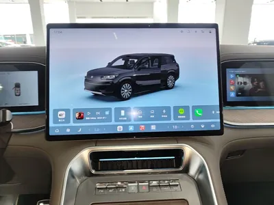 Denza N9