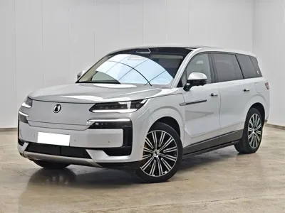 Denza Denza D9 · 2025 год
