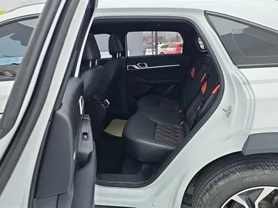 Haval Shenshou 2023, 62400 км, за 10002.21 USD - фото 11
