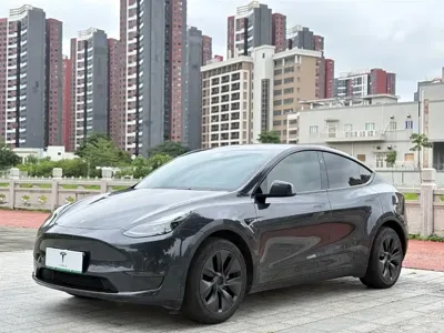 Tesla Model Y · 2024 год